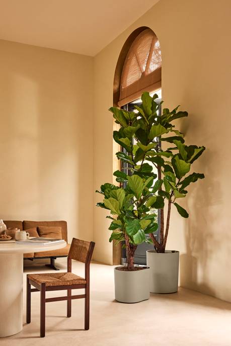 eden aquacare medium 40cm zacht taupe